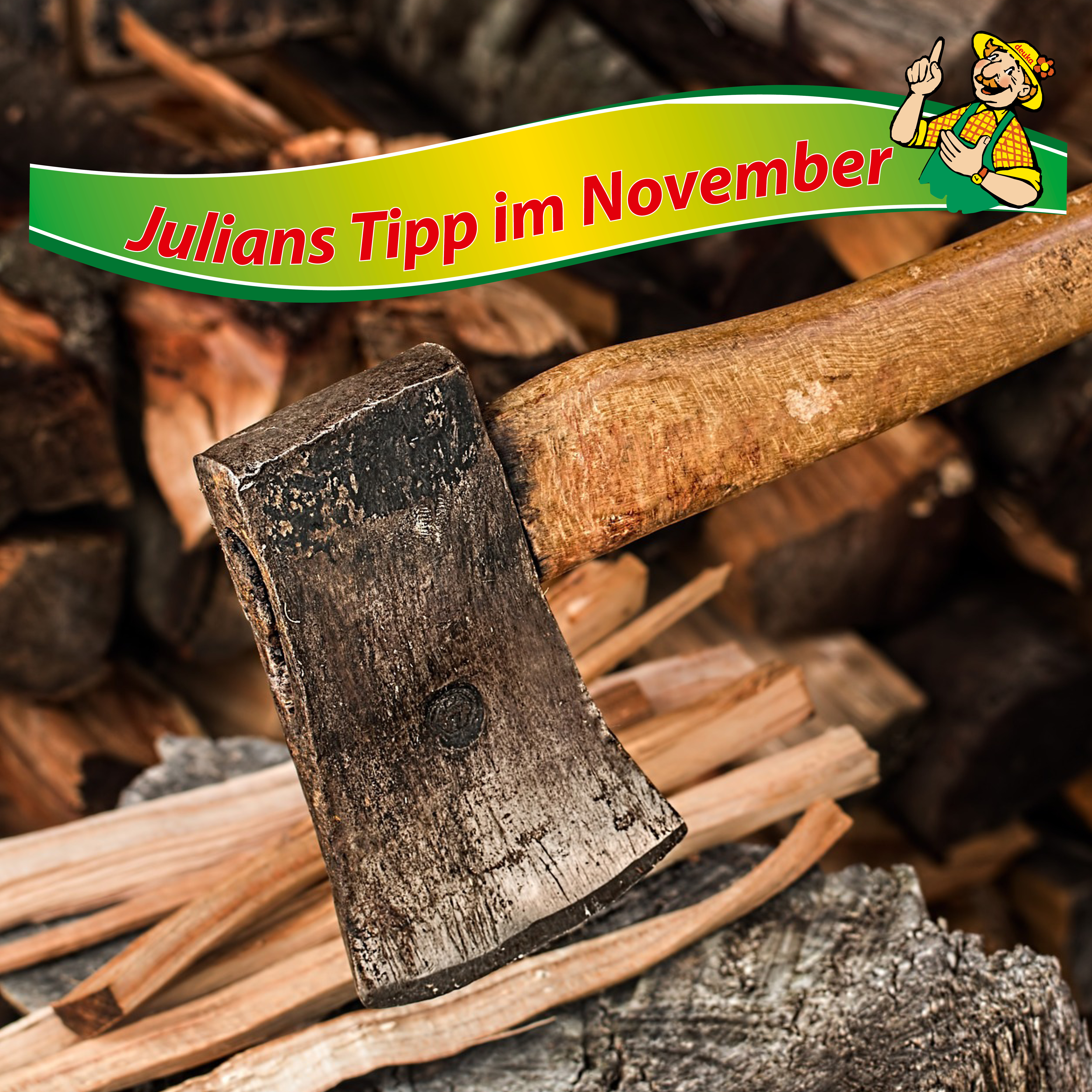 Julians Tipp im November