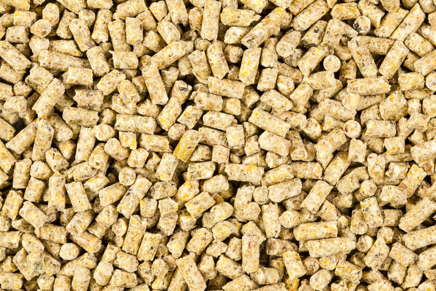 BWK Bruteifutter gek. 25kg