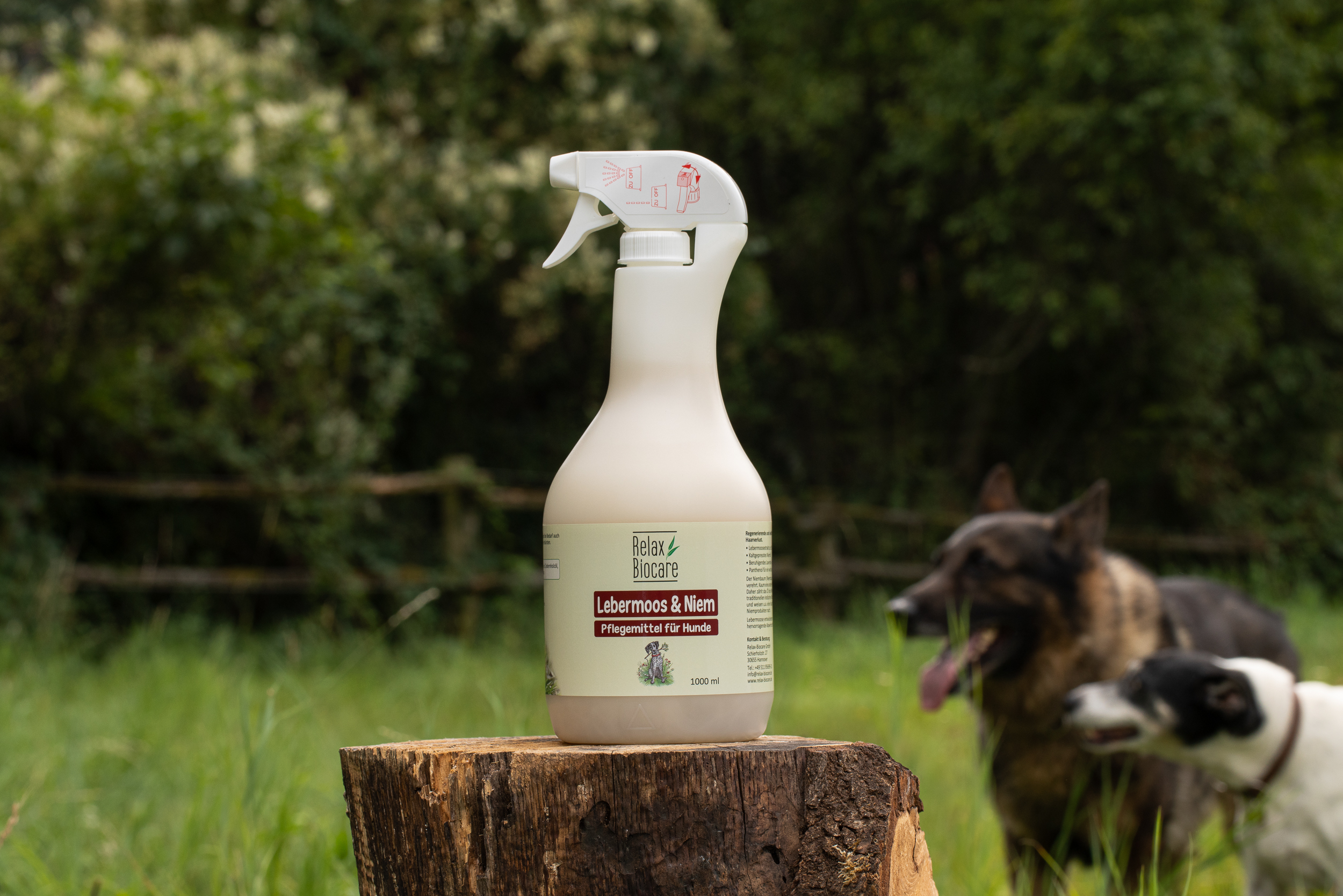Relax Probe Niemöl-Shampoo Hund 60 ml 